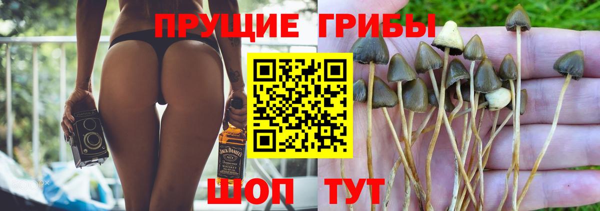 Орехово-Зуево  Псилоцибиновые грибы прущие грибы  Вход с VPN 
