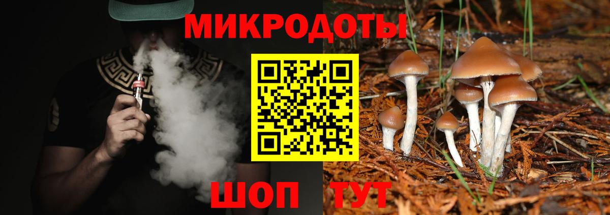 Псилоцибиновые грибы Cubensis Орехово-Зуево